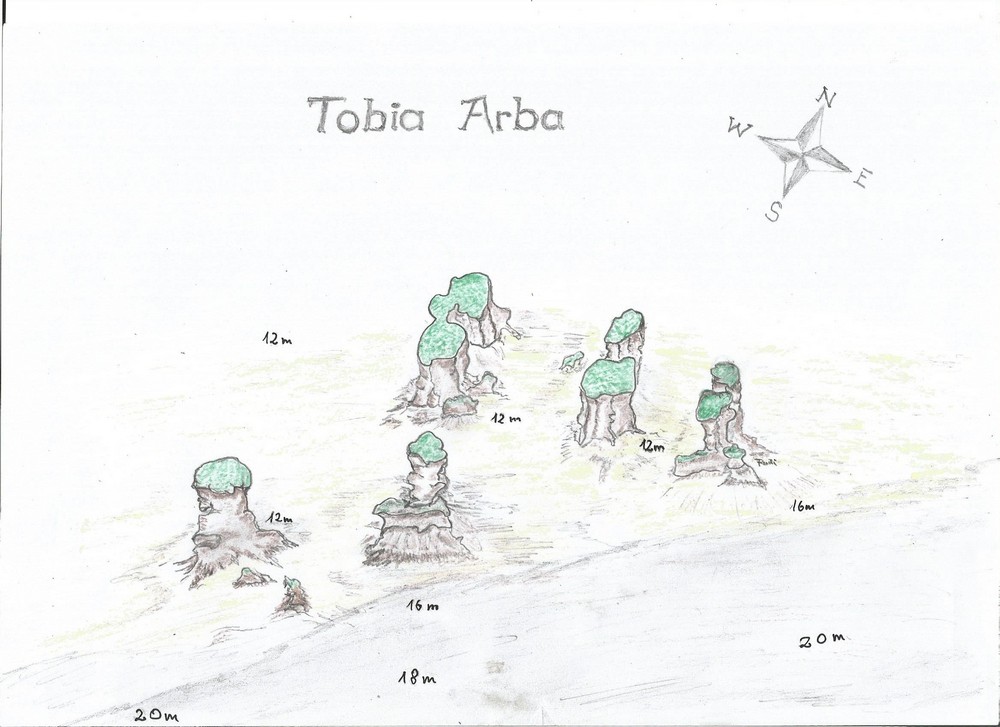 Tobia Arba