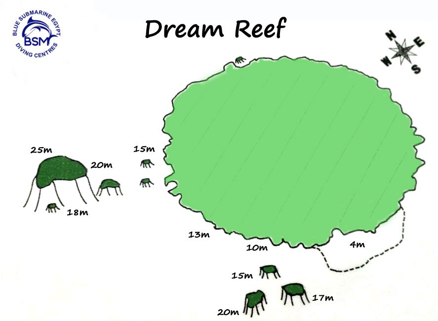 DREAM REEF
