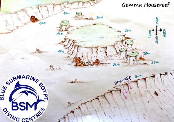 GEMMA HOUSEREEF