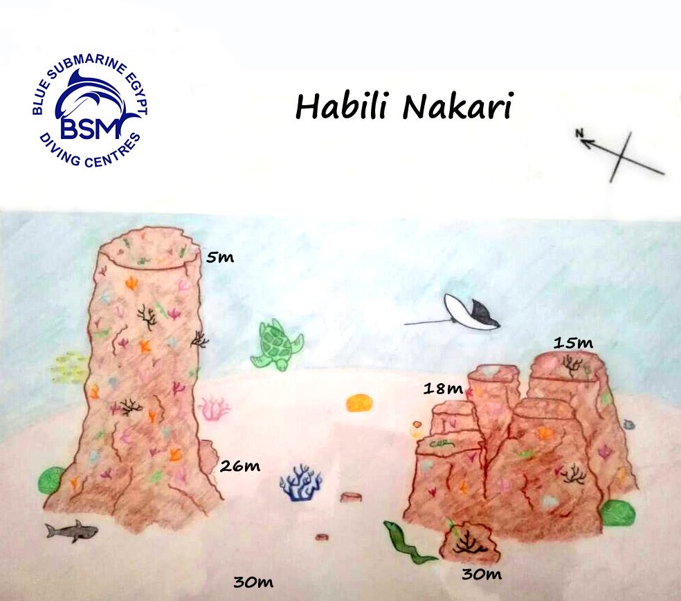 HABILI NAKARI