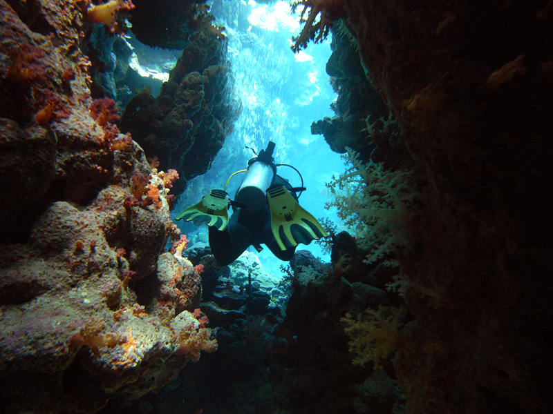 Diver4.jpg