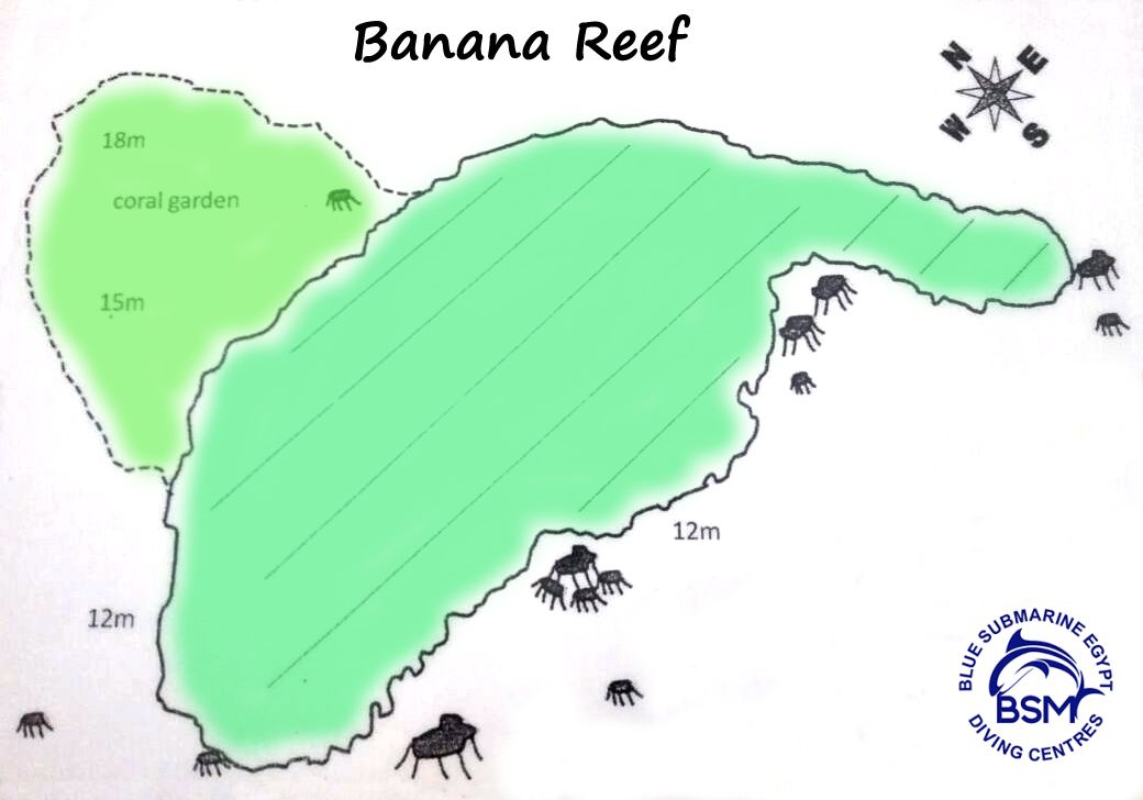 BANANA REEF mit dem Schnellboot 