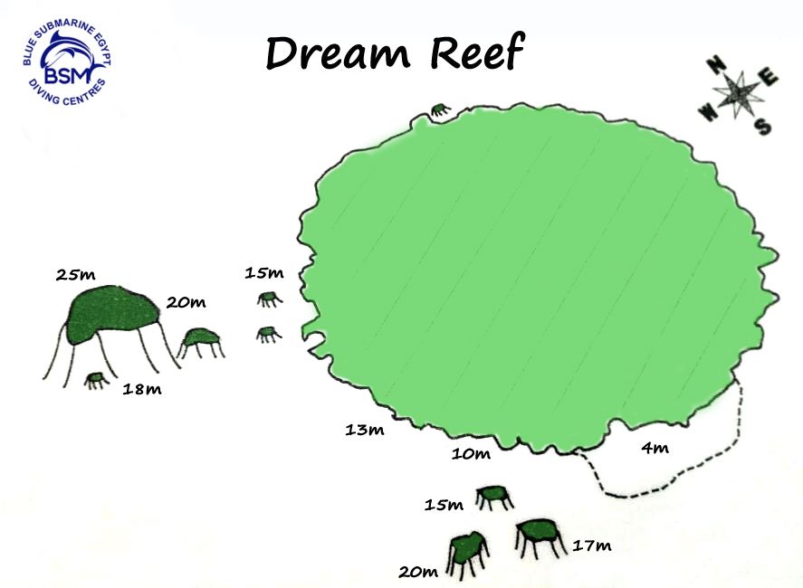 DREAM REEF by speedboat