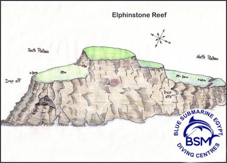 ELPHINSTONE REEF