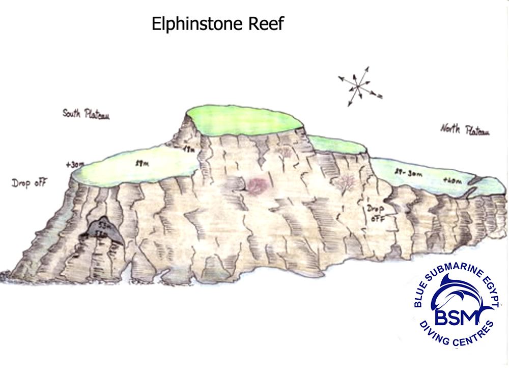 ELPHINSTONE REEF