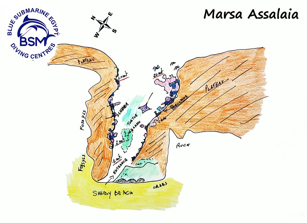 MARSA ASSALAIA